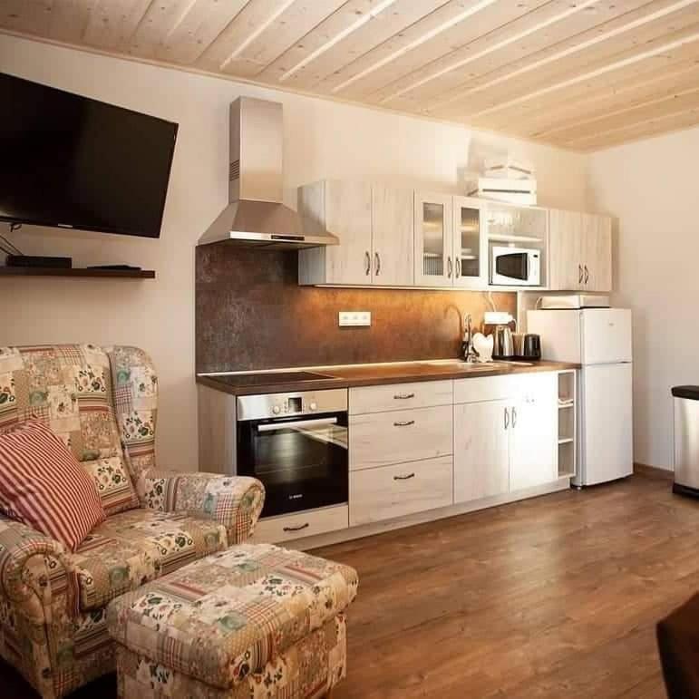 Apartmany Fiserka ロキトニツェ・ナト・イゼロウ エクステリア 写真
