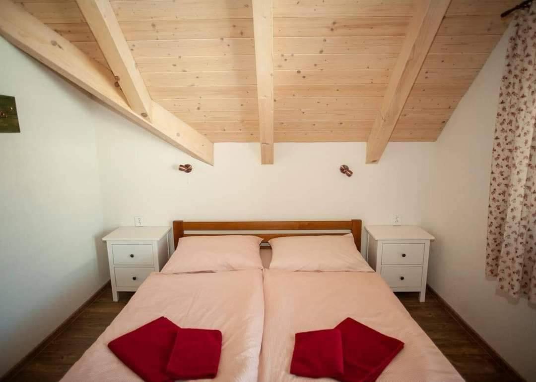 Apartmany Fiserka ロキトニツェ・ナト・イゼロウ エクステリア 写真